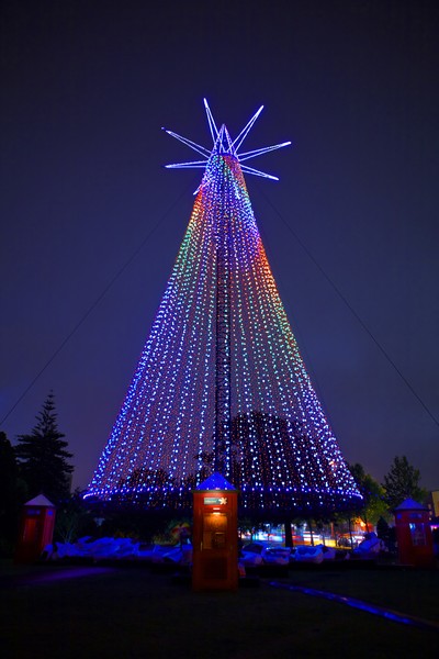 Telecom Tree lights up Auckland's Western Park on Saturday night.